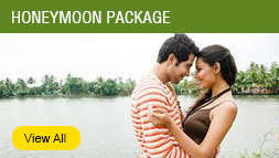 Honeymoon Package Honeymoon Package