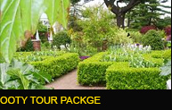 Ooty Tour Package Ooty Tour Package