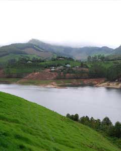 eco point munnar