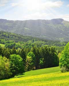 green valley kodaikanal