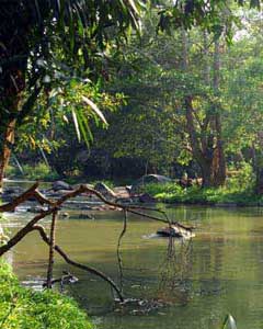 kuruva island
