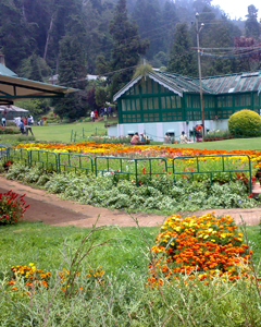 Ooty Botanical Garden