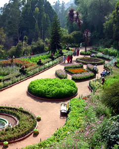 Sims Park Ooty Sims Park Ooty